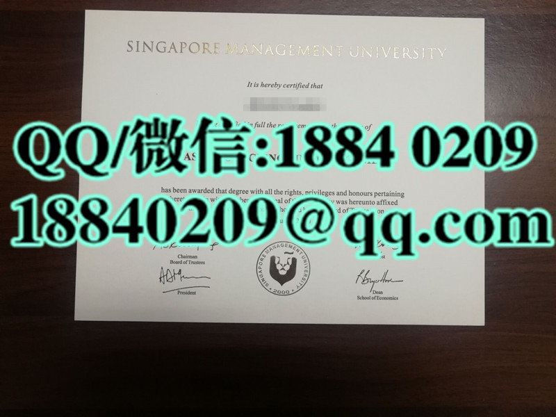 SMU​新加坡管理大学硕士学历 Singapore Management University​  master degree​ 样本