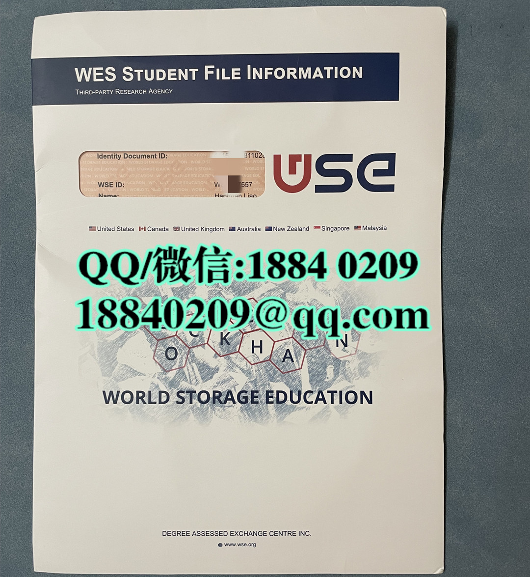 WSE文凭认证报告，海牙学历WSE认证服务，WSE认证报告